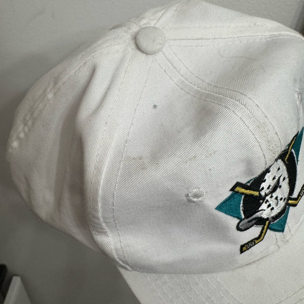 Mighty Ducks - image 2